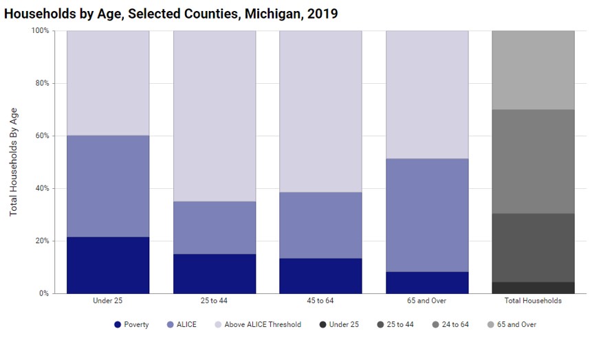 ALICE Households by Age